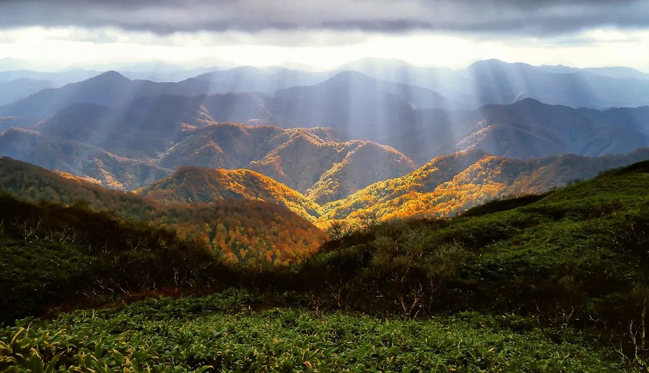 Montañas boscosas en otoño, con los rayos de sol entrando entre las nubes